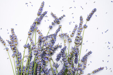 Purple lavender flowers with leaves on white background top view flat lay. Beautiful fragrant twigs...