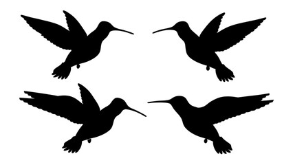 humming bird silhouette vector illustration on tranparent background