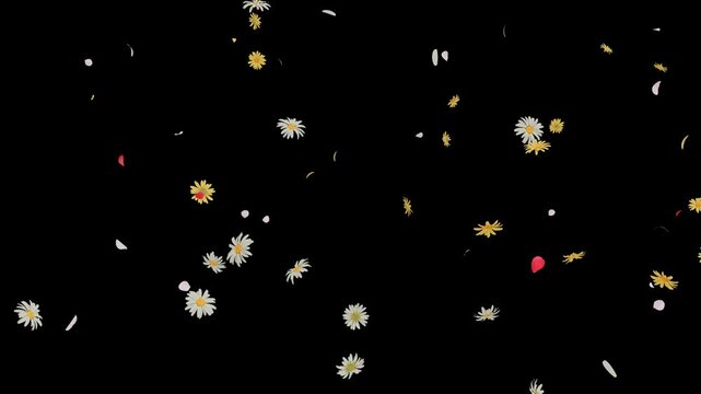 Burst of summer flowers flying outward on alpha with soft colorful petals