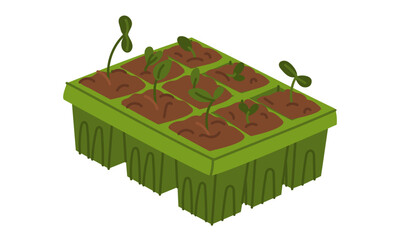 seedling cassette with soil and sprouts. pot for seedlings. Gardening equipment. Flat color illustration. It is suitable for the design of articles and educational materials on gardening and hobbies