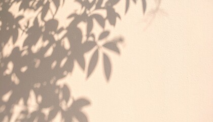 bamboo forest background with leaf shadow