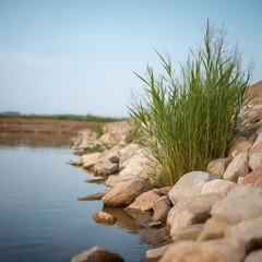 Riverbank restored with native vegetation, Eco revival
