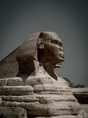 Africa, Egypt, Cairo city, Giza, Giza pyramids. Three pyramids, sphinx, statue, saqqara pyramid,...