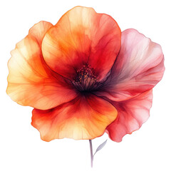 Naklejka premium Vibrant red and orange watercolor petal illustration isolated on transparent background