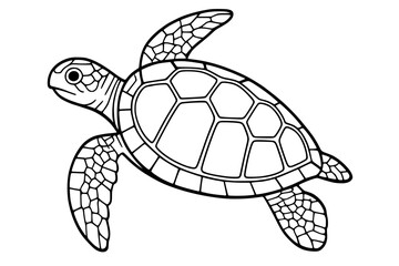 Fototapeta premium Vector Sea Turtle Line Drawing