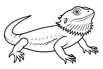 Bearded Dragon Outline Vector Illustration