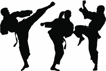 Martial Artist High Kick