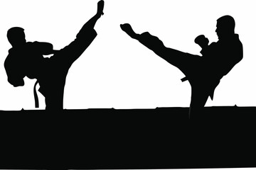 Martial Artist High Kick
