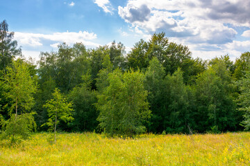 landscape with forest on the hill in summer. scenic view of blooming alpine pasture. vacation...