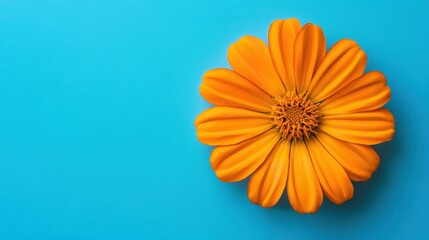 Elegant Figure in Pink Robes Amidst Large Yellow Flowers