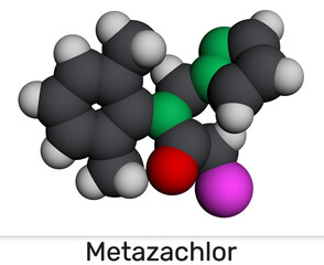 Metazachlor molecule. Chloroacetanilide herbicide used for selective weed control in crops. Molecular model. 3D rendering