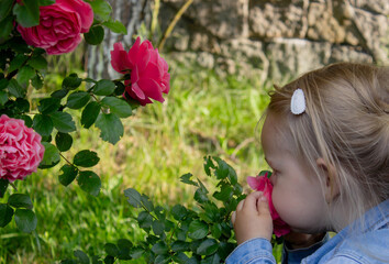 little girl allergic to roses. Selective focus