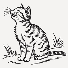 Adorable Kitten in Line Art Style, Sitting Outdoors in the Grass, Looking Upward