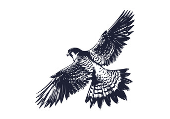 Peregrine Falcon hand drawn sketch vector illustration