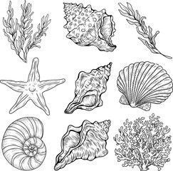 A set of different seashells, corals and starfish. Hand-drawn vector illustration