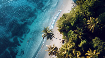  Tropical beach. Summer vacation on a tropical island with beautiful beach and palm trees. Tropical Maldives.