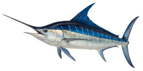 A detailed illustration of a swordfish with a long bill and streamlined body. The fish displays vibrant blue and silver colors, set against a transparent background.