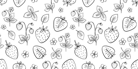 Seamless pattern with strawberry vector doodle illustration, leaves, berry outline sketch, hand drawn icon of summer food and flowers