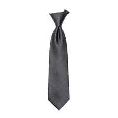 Elegant black tie with delicate scattered crystals