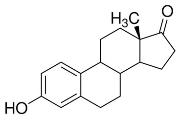 Estron Chemie Strukturformel Vektor