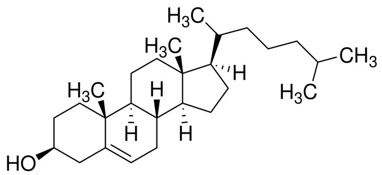 Cholesterol Cholesterin Chemie Strukturformel Vektor