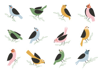 Colorful birds sitting on branches. Hand drawn spring birds large set of illustrations or stickers.