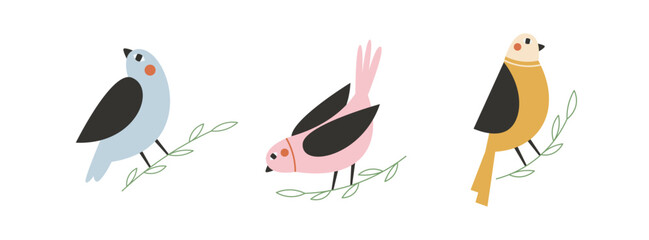 Colorful birds sitting on branches. Hand drawn spring birds set of illustrations or stickers.