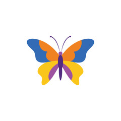 Butterfly animal vector art illustration-