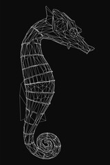 A wireframe seahorse stands out against a black background, showcasing intricate geometric details. The stark contrast highlights the delicate structure and flowing curves.