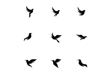 black bird image vector illustration logo design