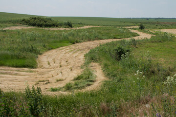 A dirt road through a field