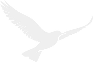 dove of peace