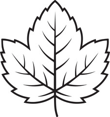 leaf, plant, green, nature, foliage, silhouette, organic, outline, tree, botanical, garden, eco, environment, flora, autumn, fresh, natural, flat, design, shape,