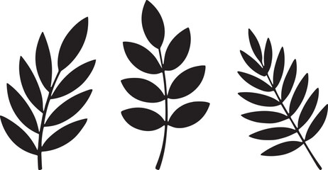 leaf, plant, green, nature, foliage, silhouette, organic, outline, tree, botanical, garden, eco, environment, flora, autumn, fresh, natural, flat, design, shape,