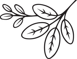 leaf, plant, green, nature, foliage, silhouette, organic, outline, tree, botanical, garden, eco, environment, flora, autumn, fresh, natural, flat, design, shape,