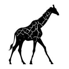 Fototapeta premium Tall Giraffe Silhouette with Pattern Walking Isolated on Transparent Background - African Wildlife