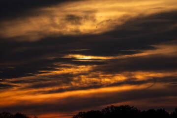 Dramatic Sunset Sky with Fiery Orange and Dark Clouds Over Tree Silhouettes