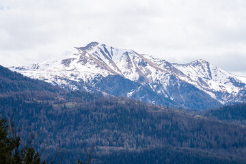 Snow-Capped Alpine Mountain Range with Forest Slopes near Chur, Switzerland