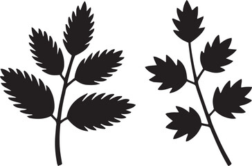 Obraz premium leaf, plant, green, nature, foliage, silhouette, organic, outline, tree, botanical, garden, eco, environment, flora, autumn, fresh, natural, flat, design, shape,
