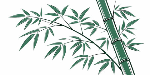 Obraz premium Raining cute , wallpaper and seamless tropical ,texture and silhouette green bamboo forest white background 