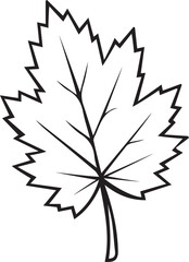 leaf, plant, green, nature, foliage, silhouette, organic, outline, tree, botanical, garden, eco, environment, flora, autumn, fresh, natural, flat, design, shape,