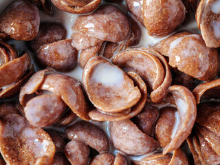 Close-up of Chocolate corn flakes with milk, macro