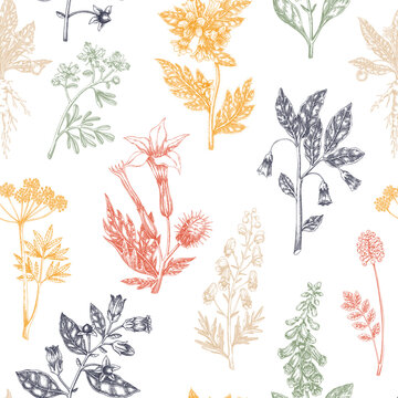 Witch herbs seamless pattern. Poisonous plants background. Apothecary hand-drawn vector illustration. NOT AI generated