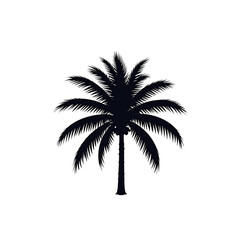 Single Palm Tree Silhouette with Coconuts and Transparent Background - Tropical, Island, Beach Graphic
