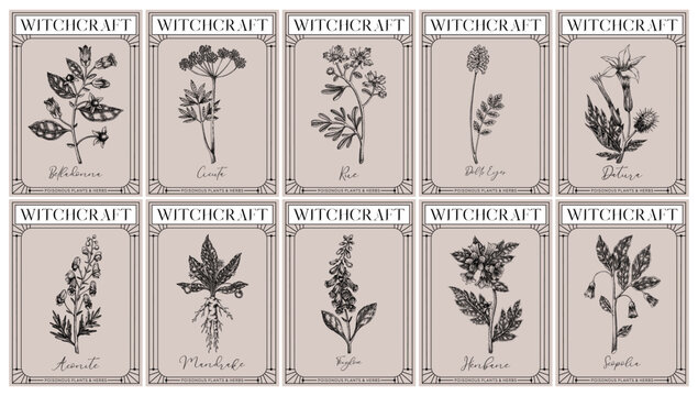 Witchcraft labels set. Poisonous plants and medicinal herbs sketches. Art Nouveau, Art Deco, retro style. Vintage frame design templates on chalkboard. NOT AI generated
