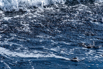 Black Volcanic sand beach and blue water ocean in Madeira, coast Portugal, Atlantic waves sparkle in sun, warm Gulf Stream water flows, peaceful energy, marine life