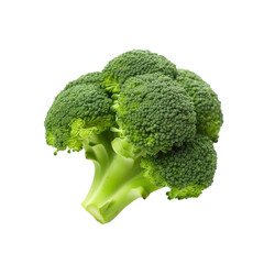 Fresh green broccoli floret isolated on transparent background