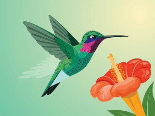 Obraz premium Vibrant Hummingbird and Hibiscus Flower Vector Illustration