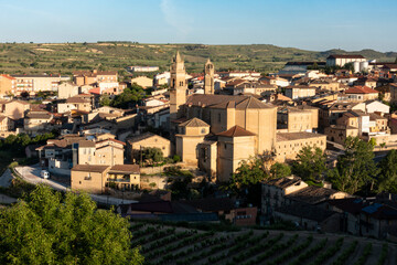Panoramic View of Elciego Village featuring San Andres Church and Surrounding Vineyards, Rioja...