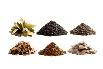 Selection of aromatic spices and wood shavings for culinary use